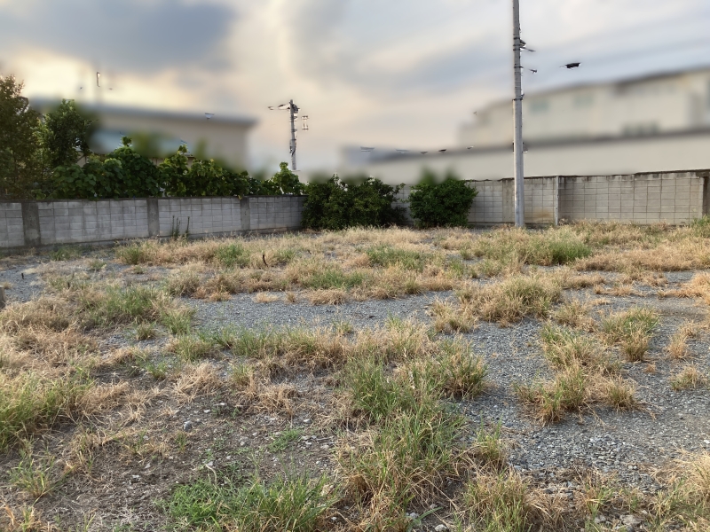 写真　北西